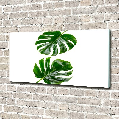 Glass acrylic wall art Tropical leaves