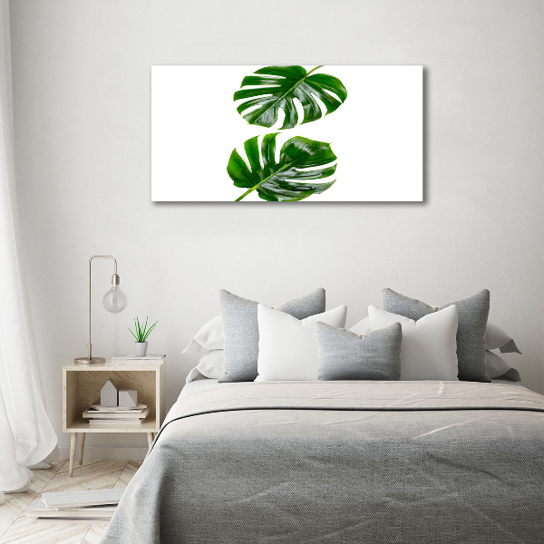 Glass acrylic wall art Tropical leaves