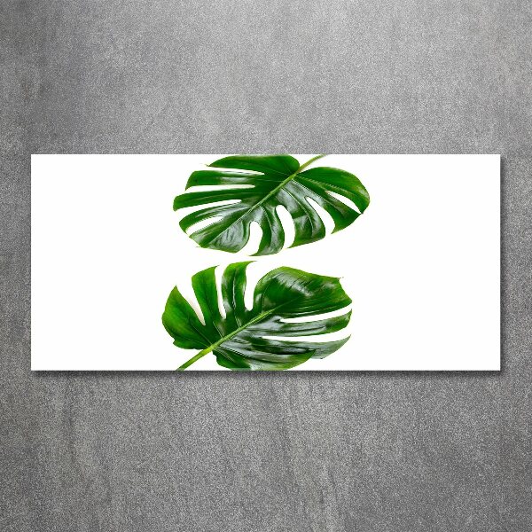 Glass acrylic wall art Tropical leaves