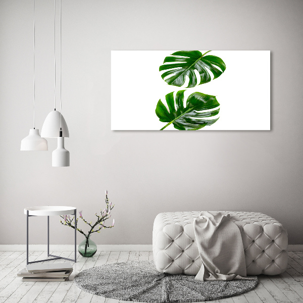 Glass acrylic wall art Tropical leaves