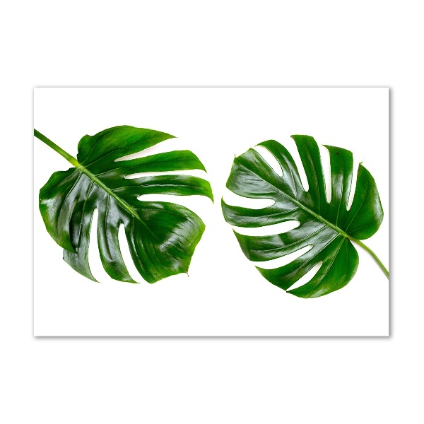 Glass acrylic wall art Tropical leaves