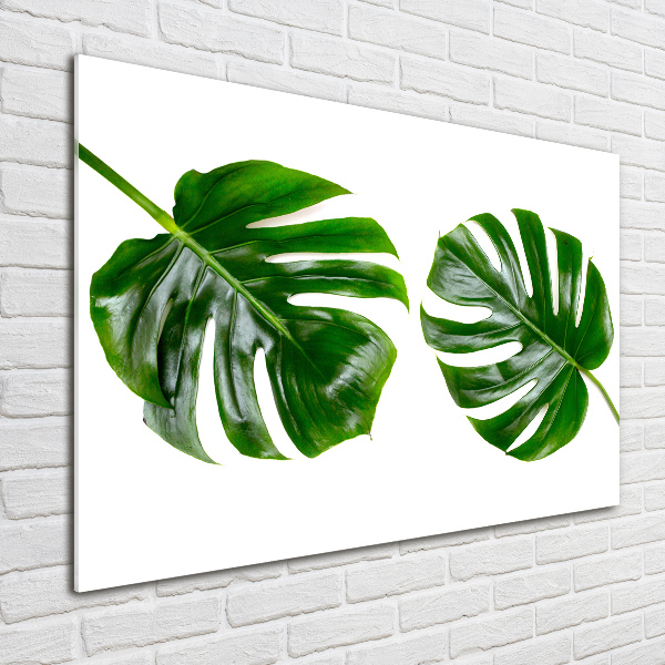 Glass acrylic wall art Tropical leaves