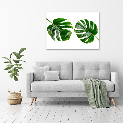 Glass acrylic wall art Tropical leaves