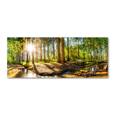 Glass acrylic wall art Panorama of the forest