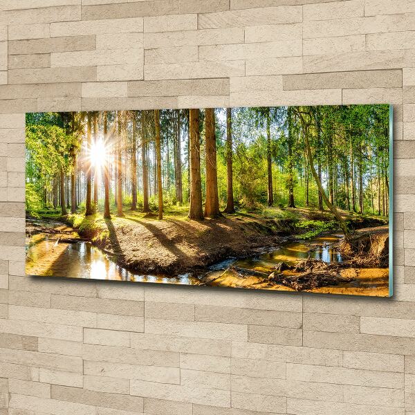 Glass acrylic wall art Panorama of the forest