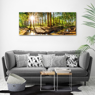 Glass acrylic wall art Panorama of the forest