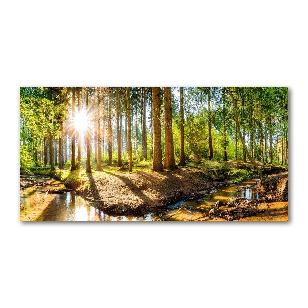 Glass acrylic wall art Panorama of the forest