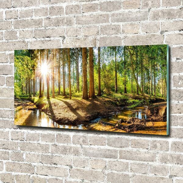 Glass acrylic wall art Panorama of the forest