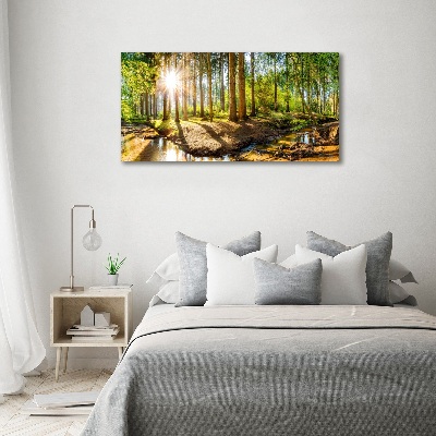 Glass acrylic wall art Panorama of the forest