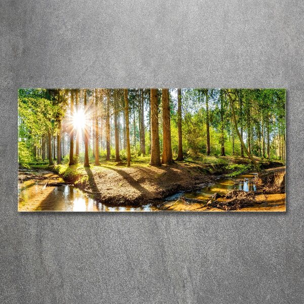 Glass acrylic wall art Panorama of the forest