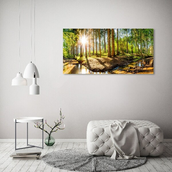 Glass acrylic wall art Panorama of the forest