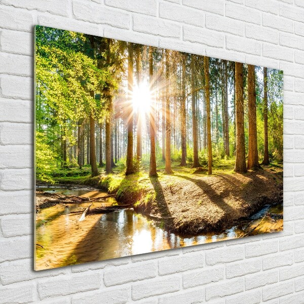 Glass acrylic wall art Panorama of the forest