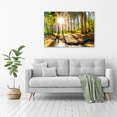 Glass acrylic wall art Panorama of the forest