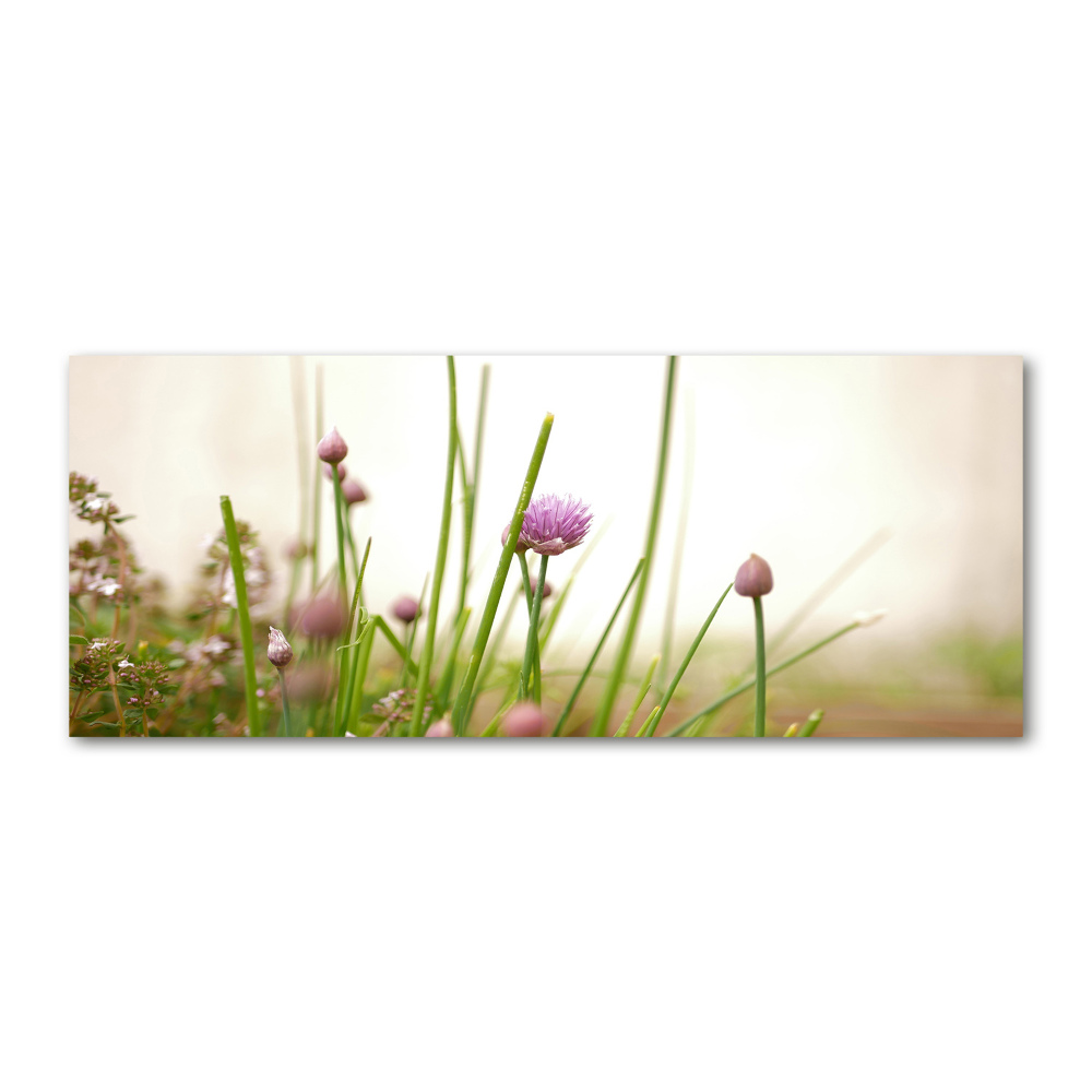 Acrylic wall picture Chives