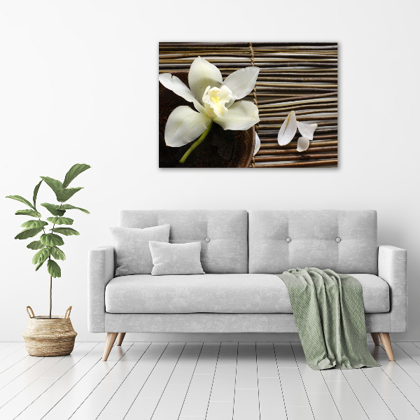 Print on acrylic Orchid