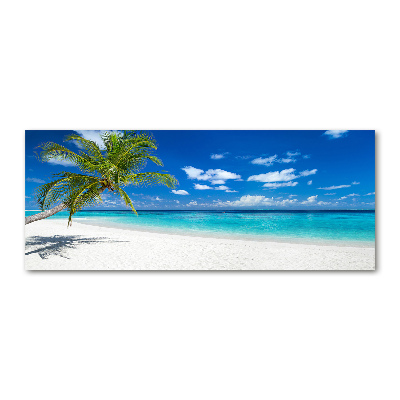 Acrylic wall picture Tropical beach