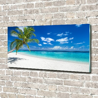 Acrylic wall picture Tropical beach