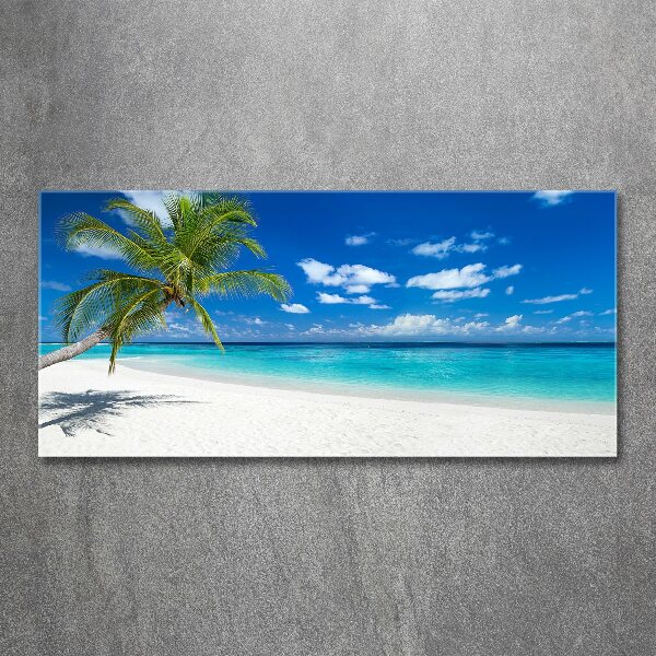 Acrylic wall picture Tropical beach