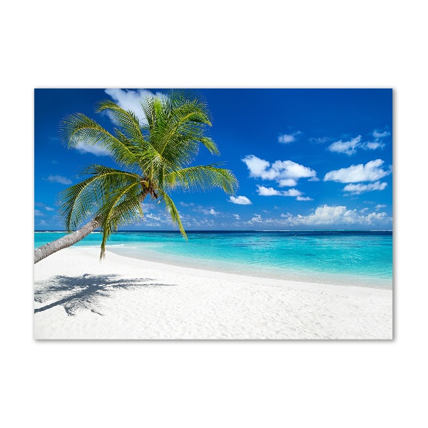 Acrylic wall picture Tropical beach