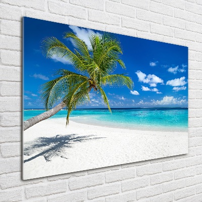 Acrylic wall picture Tropical beach