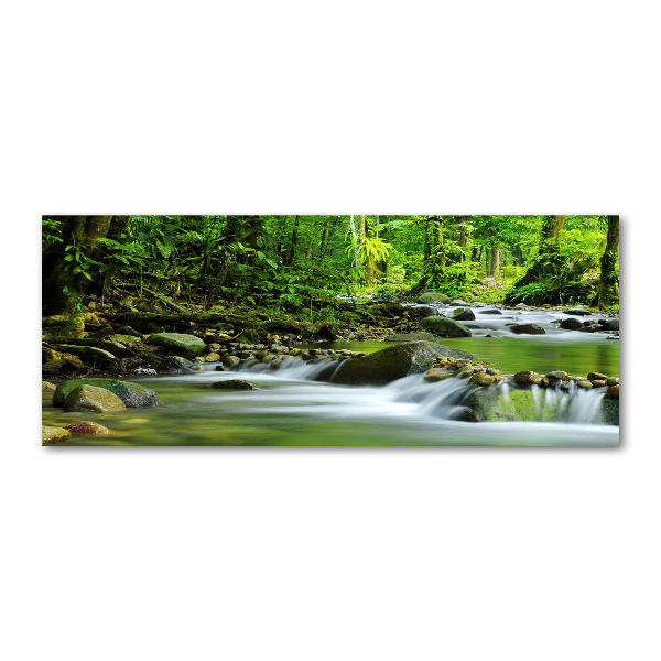 Acrylic wall picture Mountain stream