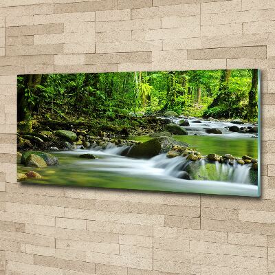 Acrylic wall picture Mountain stream