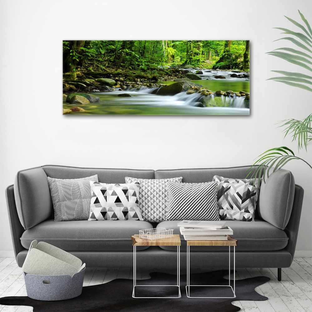 Acrylic wall picture Mountain stream