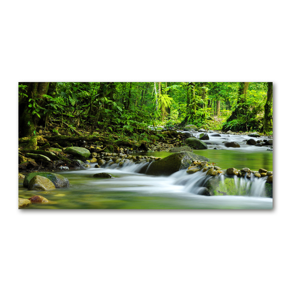 Acrylic wall picture Mountain stream