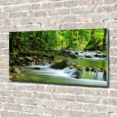 Acrylic wall picture Mountain stream