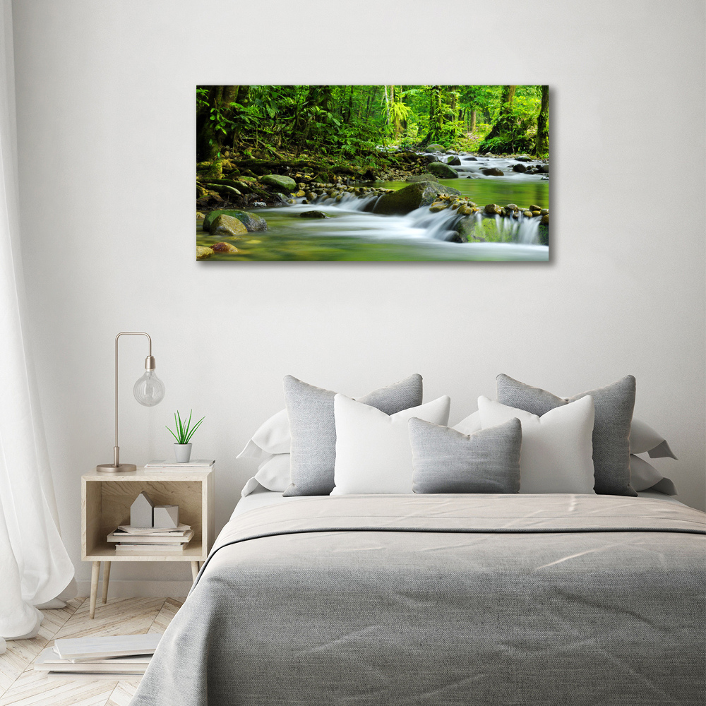 Acrylic wall picture Mountain stream