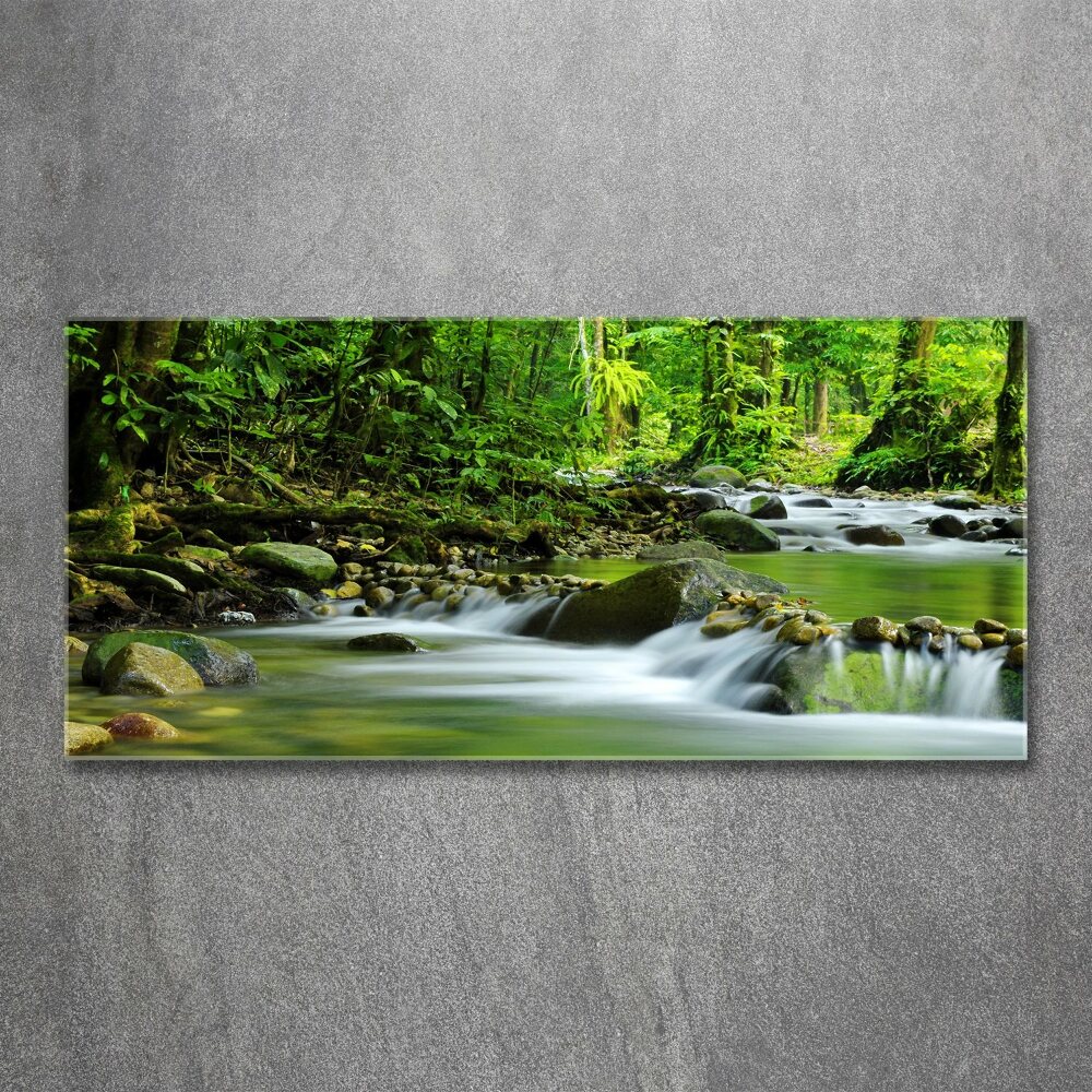 Acrylic wall picture Mountain stream