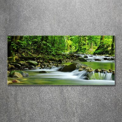 Acrylic wall picture Mountain stream