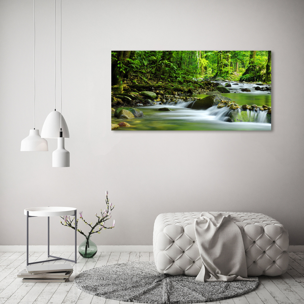 Acrylic wall picture Mountain stream