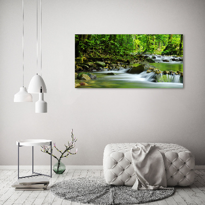 Acrylic wall picture Mountain stream