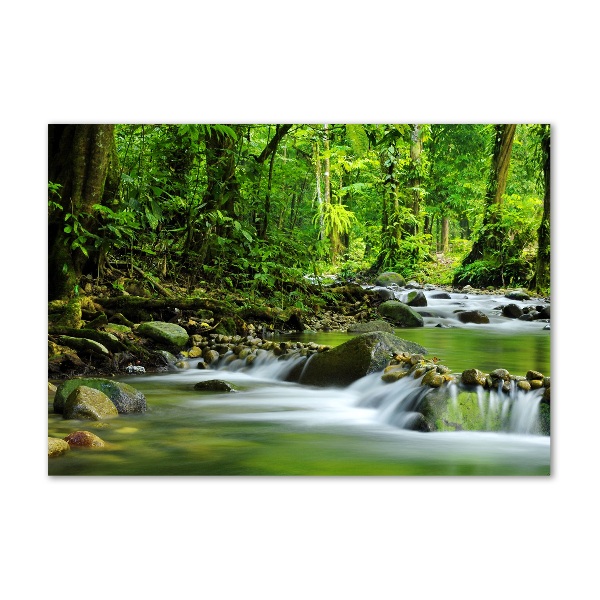 Acrylic wall picture Mountain stream