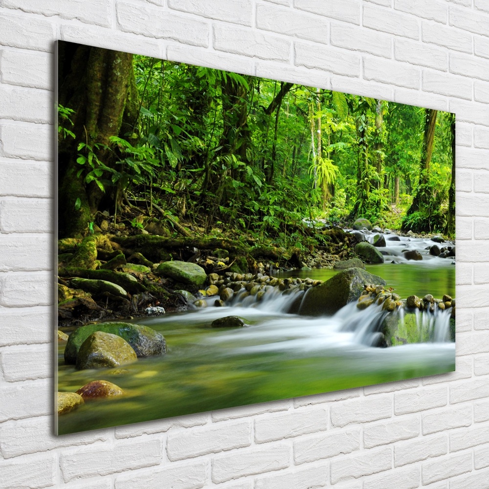 Acrylic wall picture Mountain stream