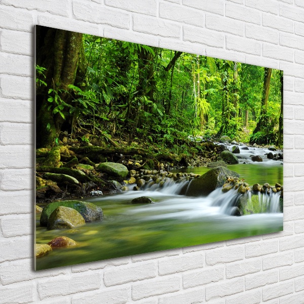 Acrylic wall picture Mountain stream