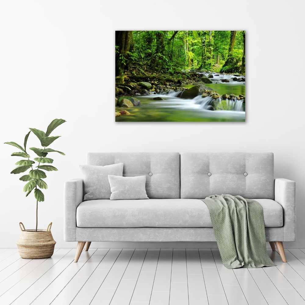 Acrylic wall picture Mountain stream