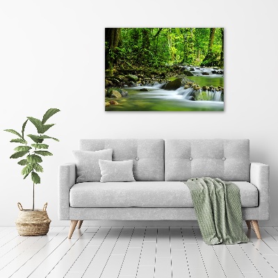 Acrylic wall picture Mountain stream