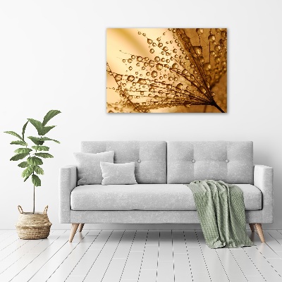 Print on acrylic Dandelion seeds