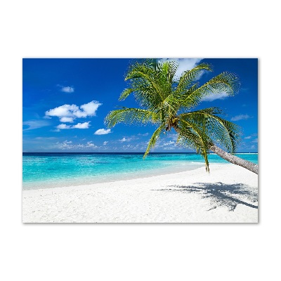 Print on acrylic Tropical beach