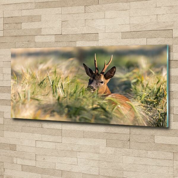 Acrylic wall art Deer in the field