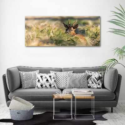 Acrylic wall art Deer in the field