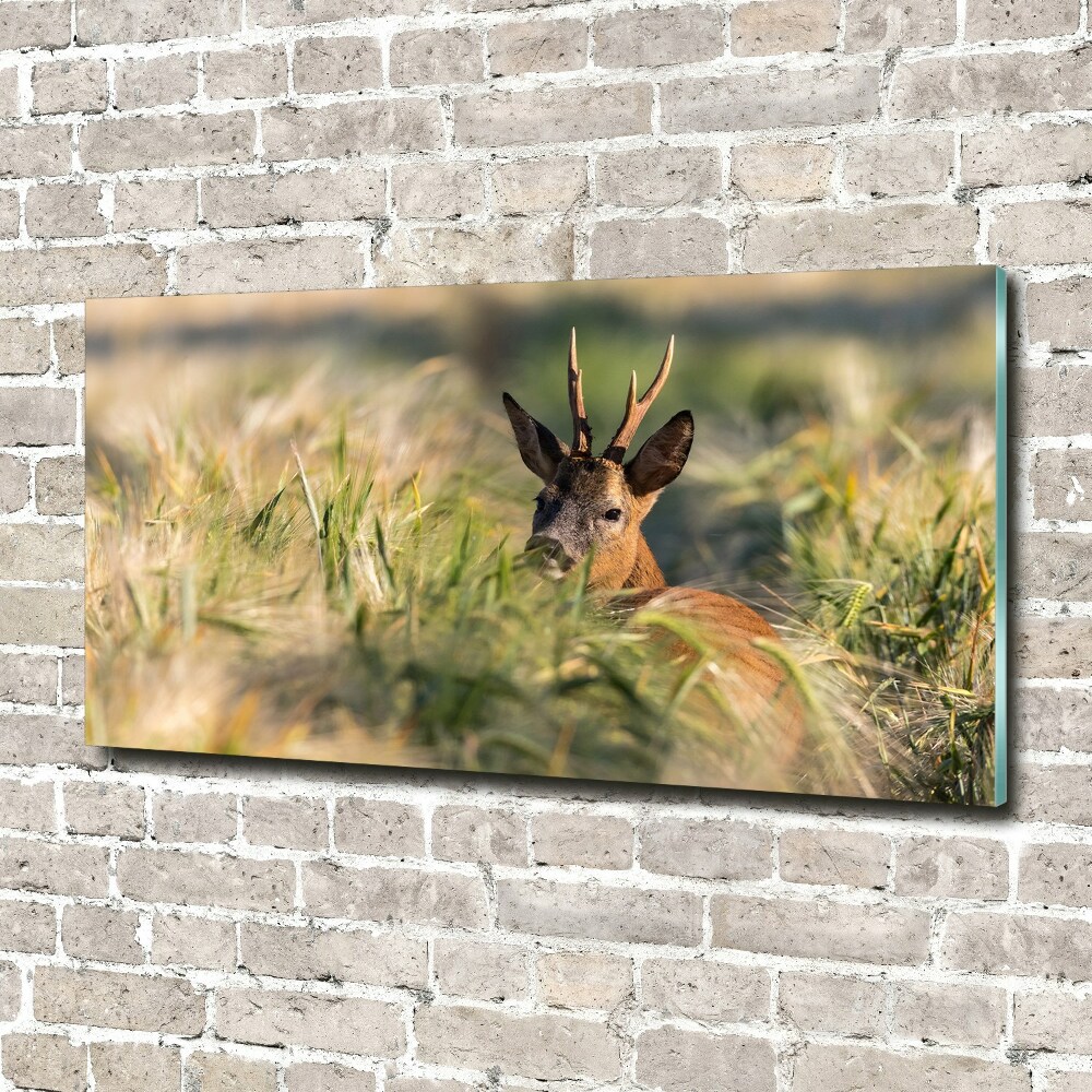 Acrylic wall art Deer in the field