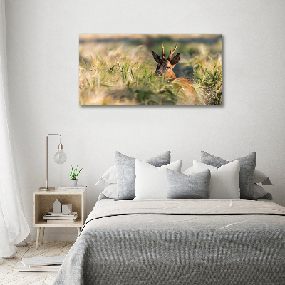 Acrylic wall art Deer in the field