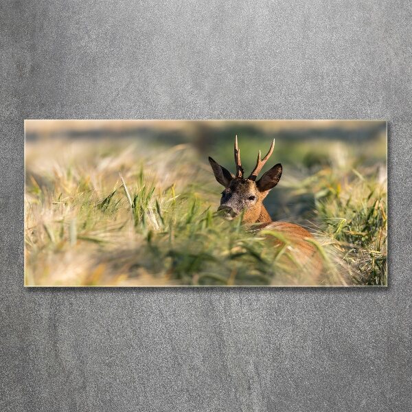 Acrylic wall art Deer in the field