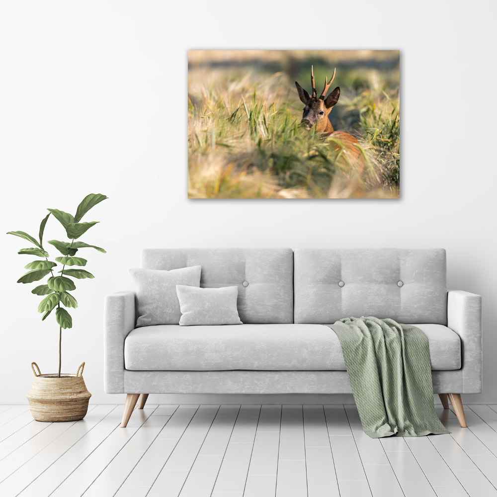 Acrylic wall art Deer in the field