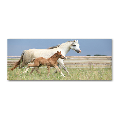 Acrylic wall art Mare with foal