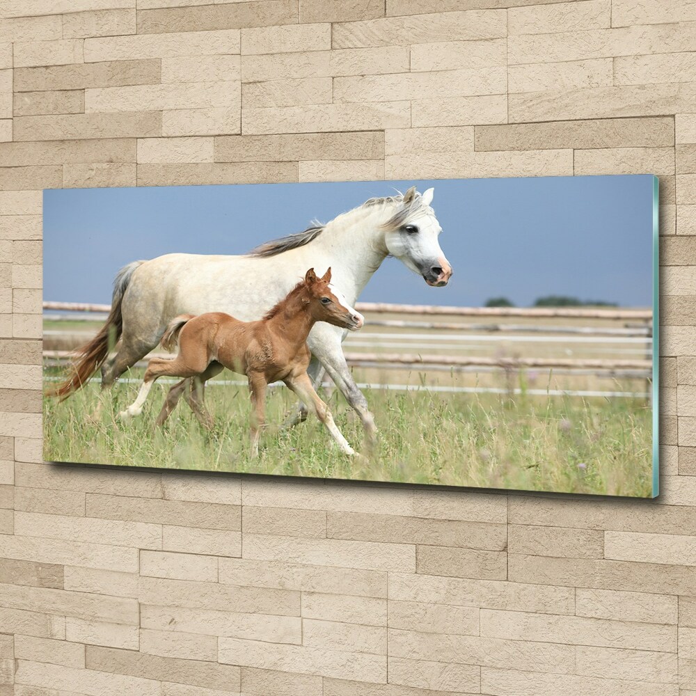 Acrylic wall art Mare with foal