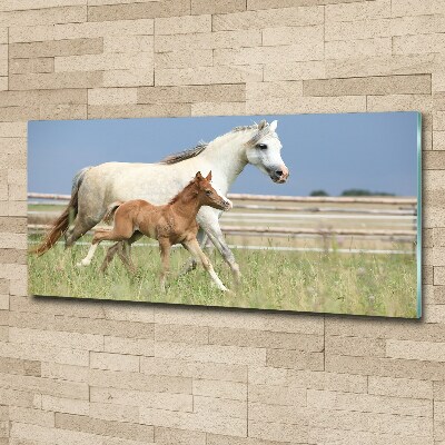 Acrylic wall art Mare with foal